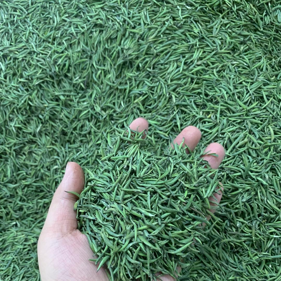 雀舌绿茶