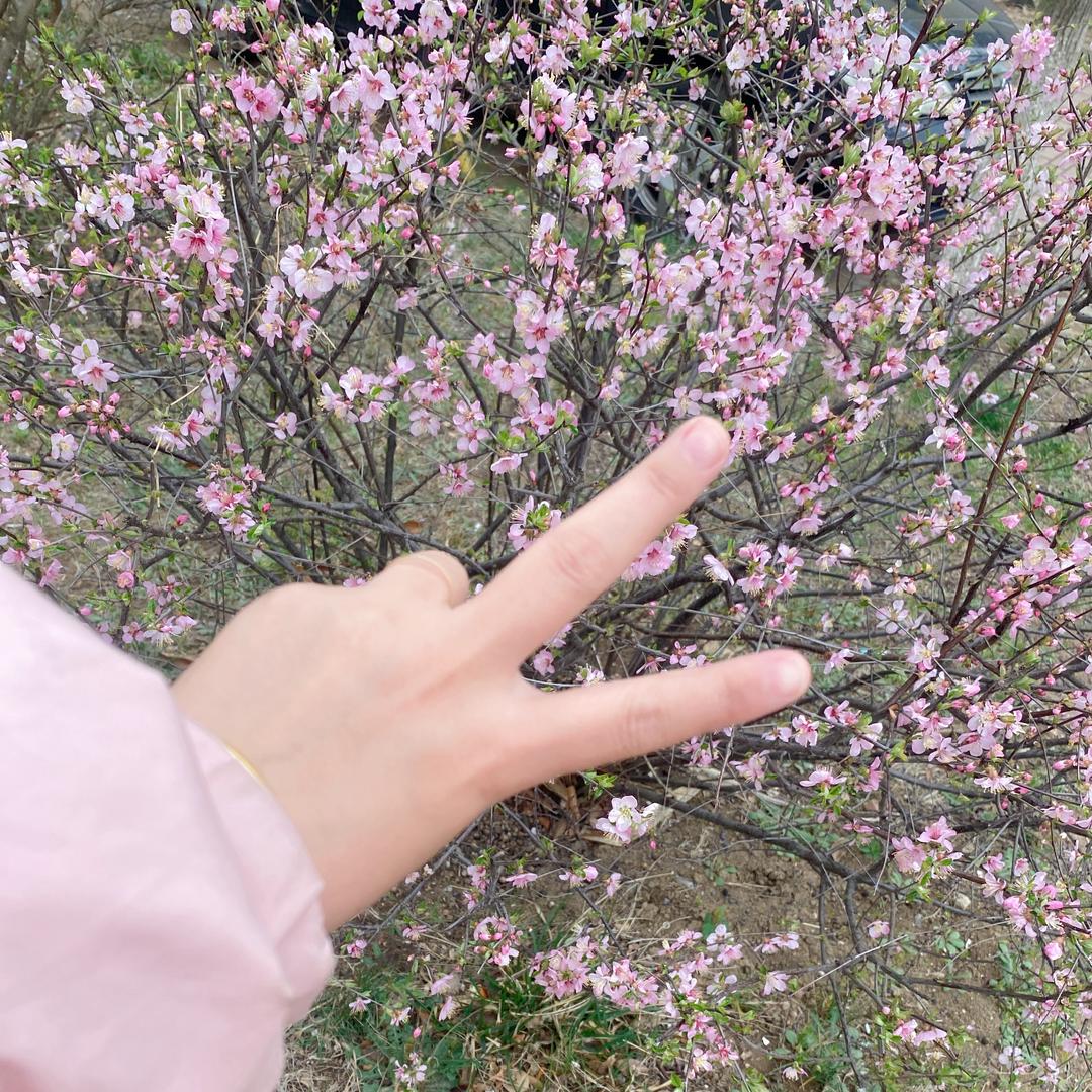 💞ঞ李🍒⁵²⁰
