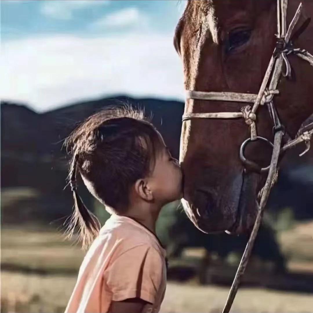 🌎开心1376🕊🕊