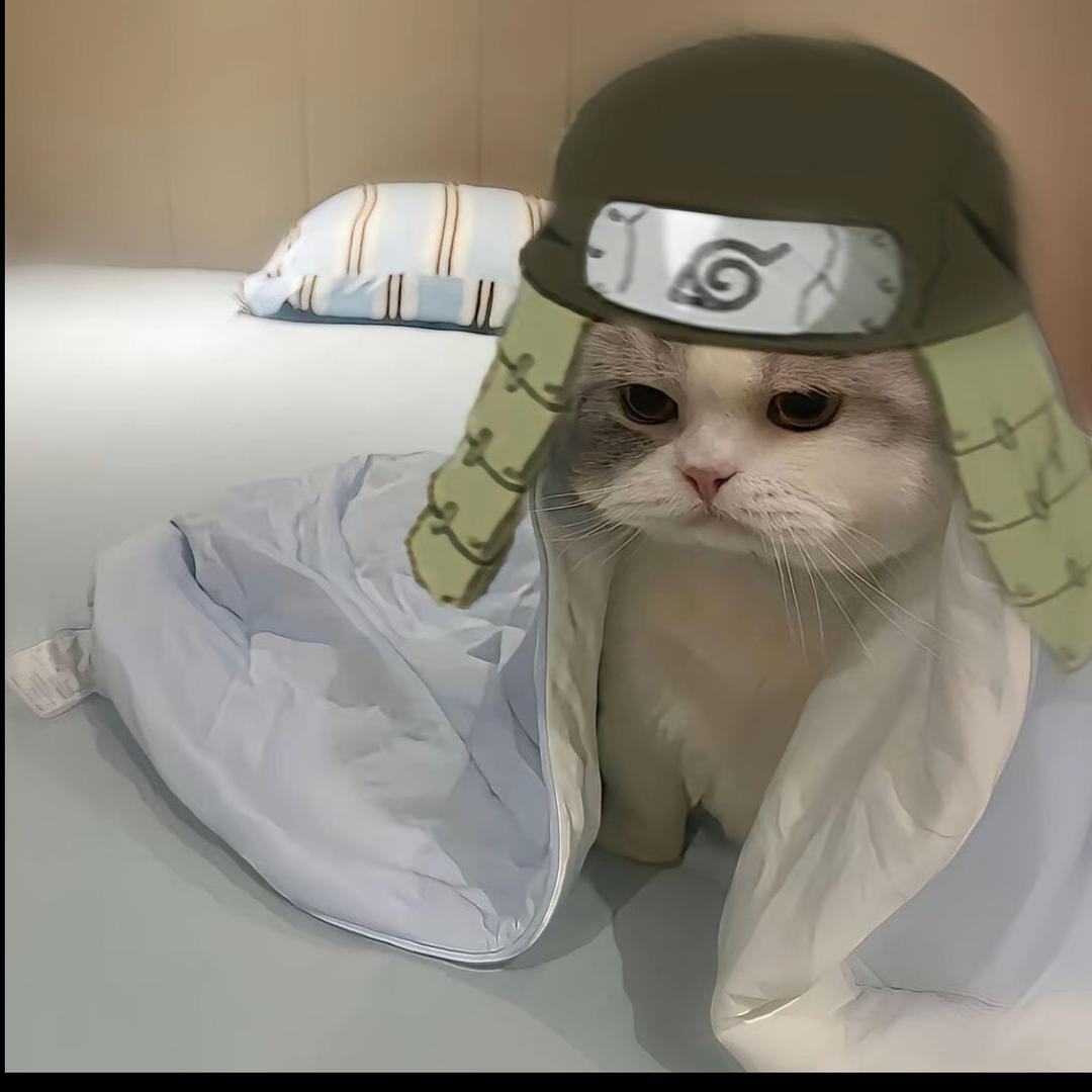 子贤