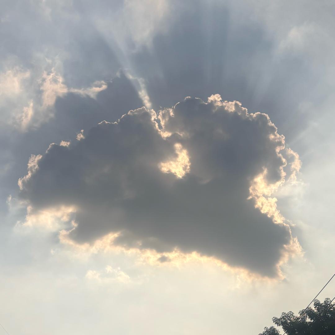 樂舆怒