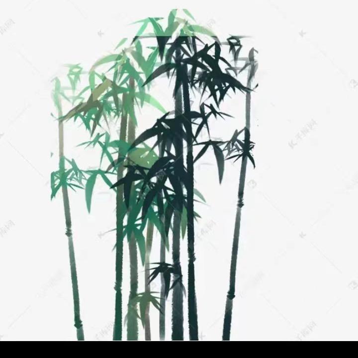 段王爷木竹