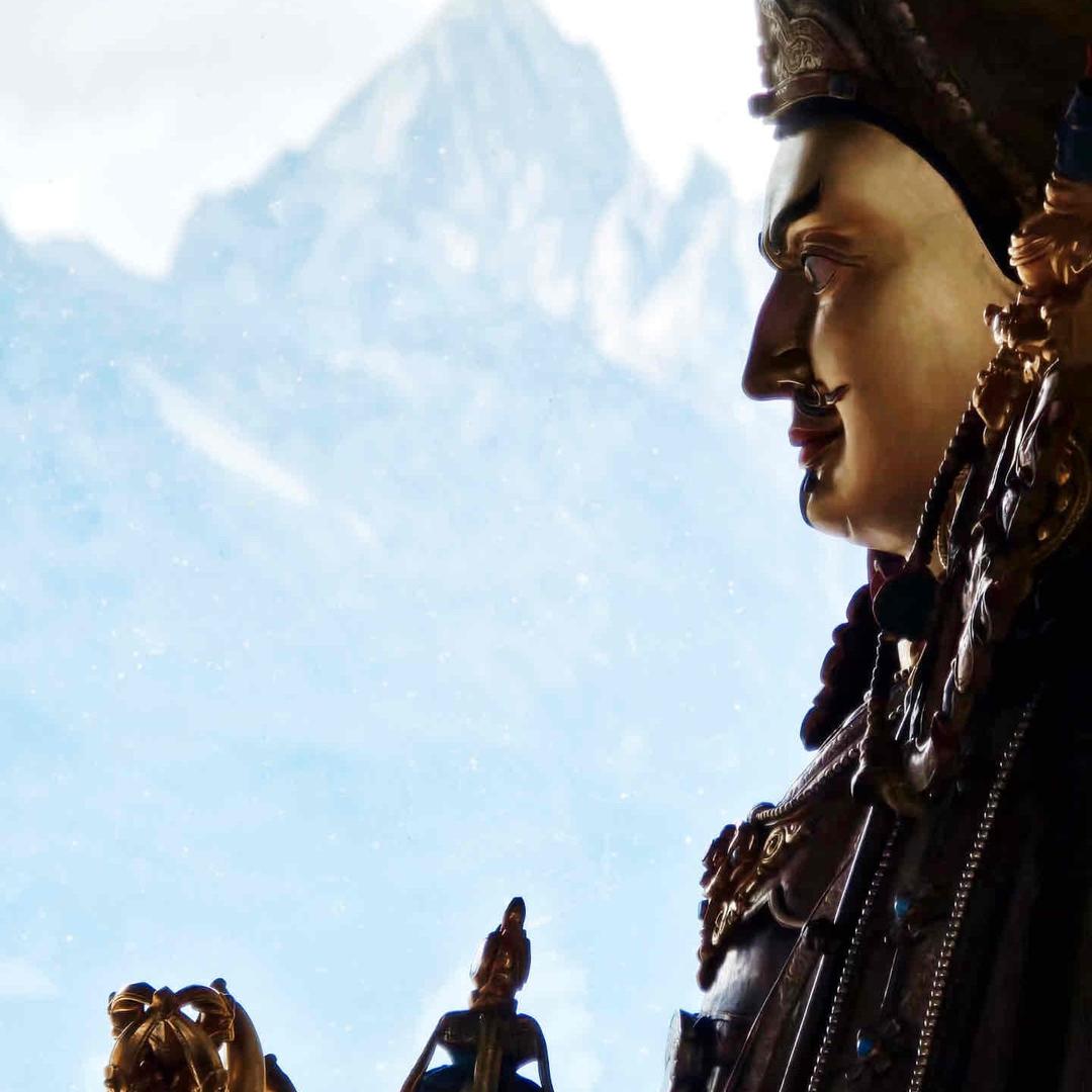 花宝🌸来财💰