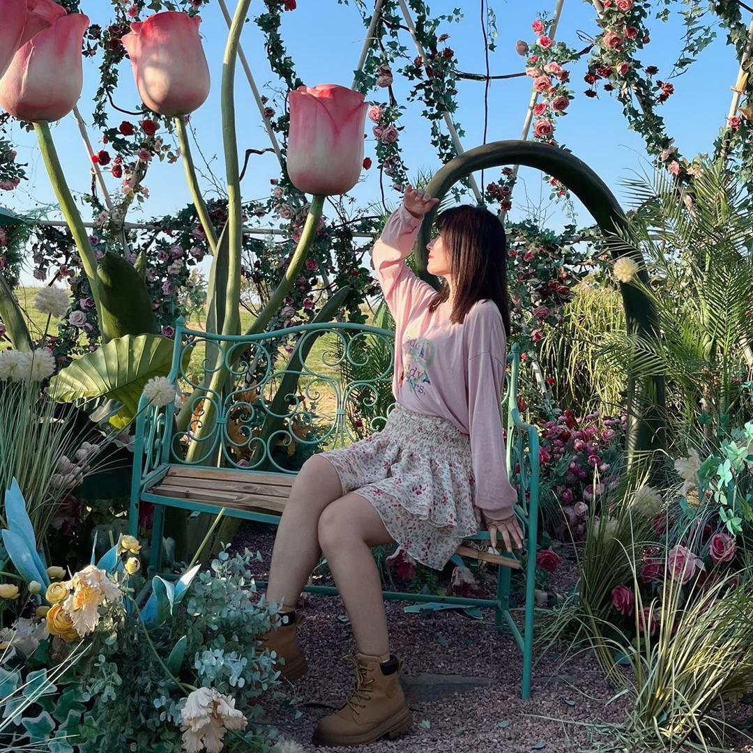 花非花、