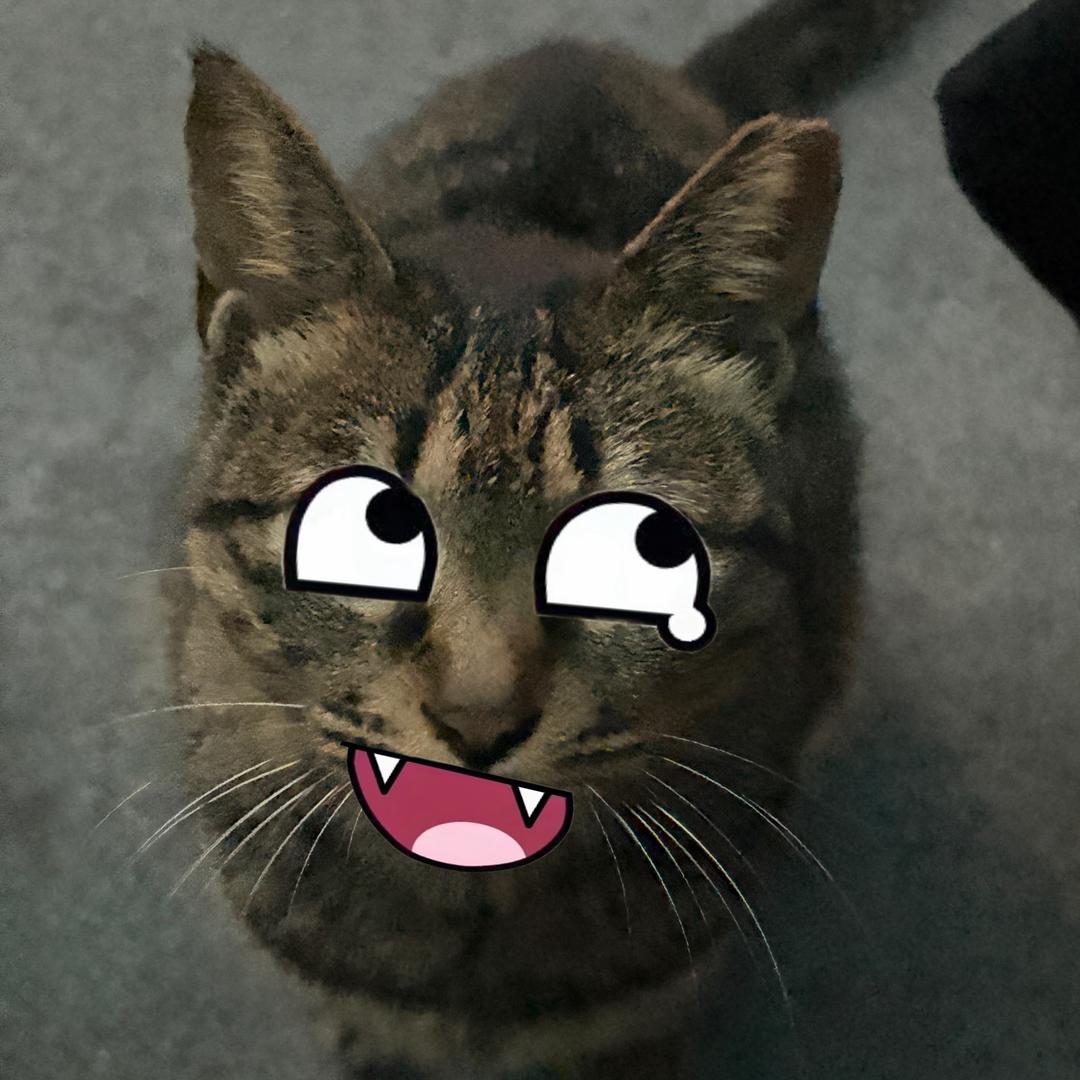 misc