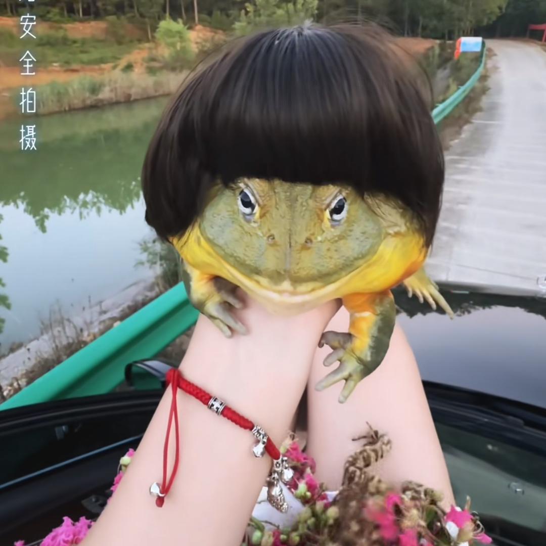 咸蛋黄