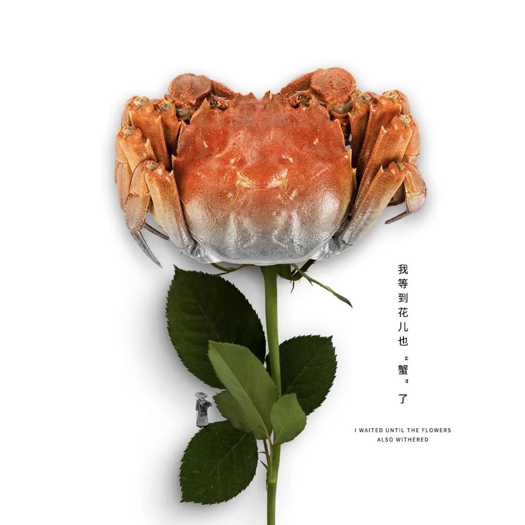 新疆苏鲜达
