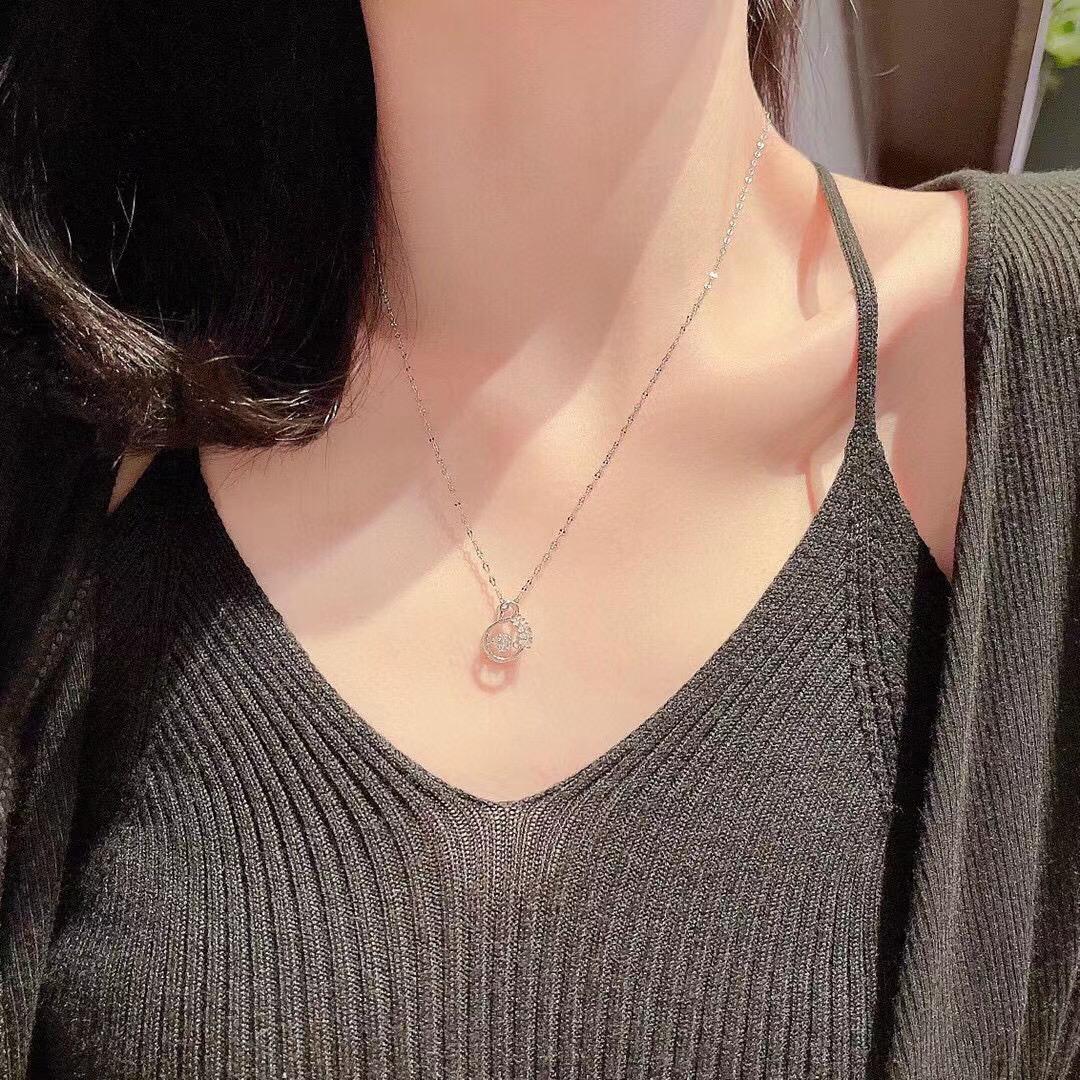 路飞姓什么