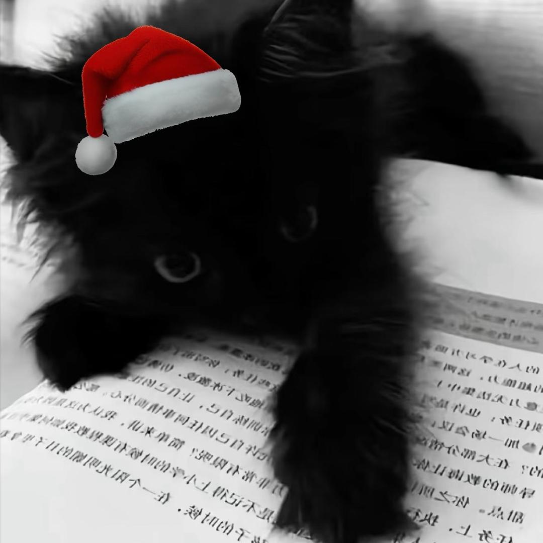 去游乐园反被当项目