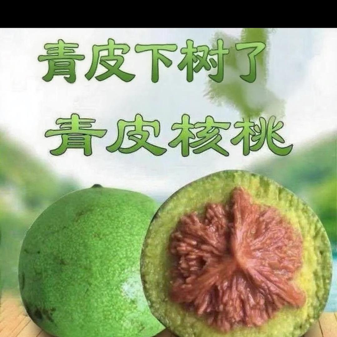 饺子文玩甄选阁