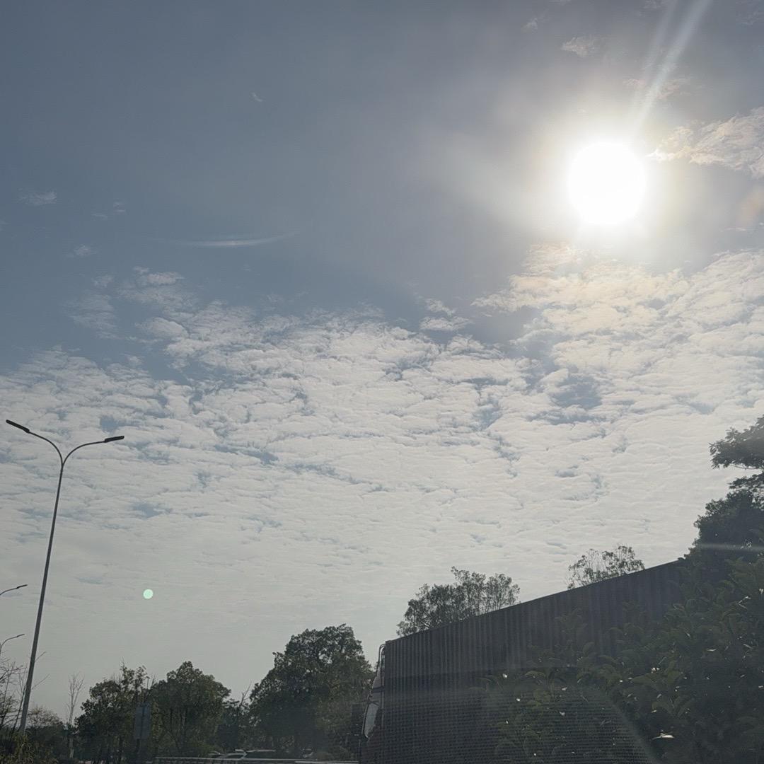 你要记得我