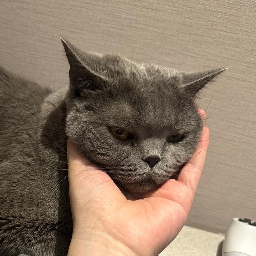 一个不成熟的想法