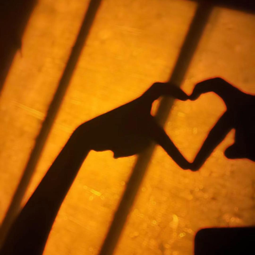 説我不懂细莭⁵²º᭄ ࿐