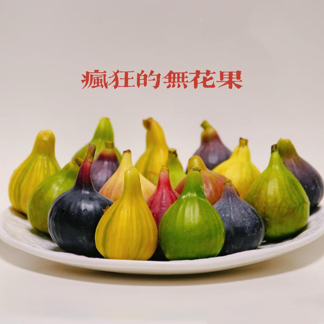 疯狂的无花果