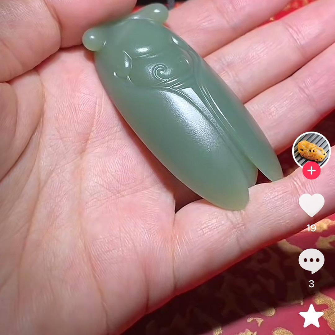 啵啵啵v