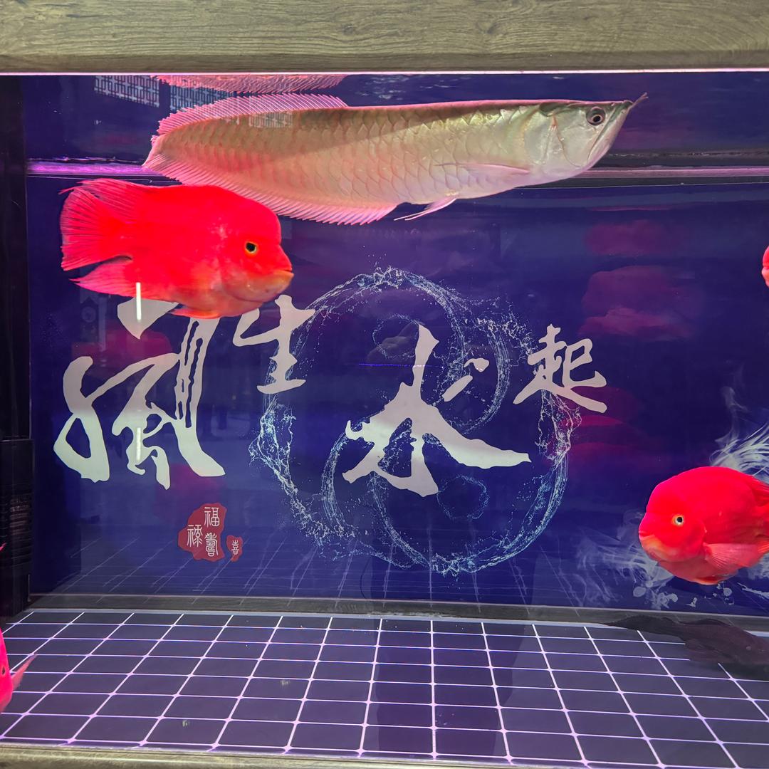 花生米