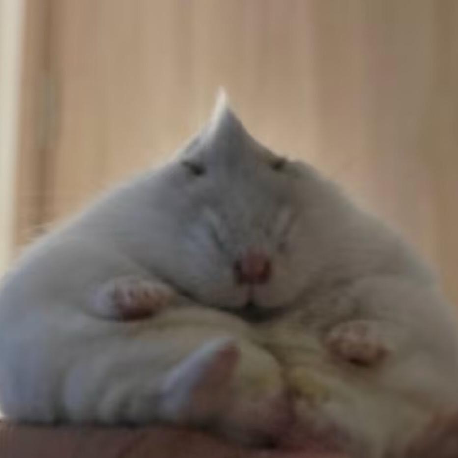 u贰