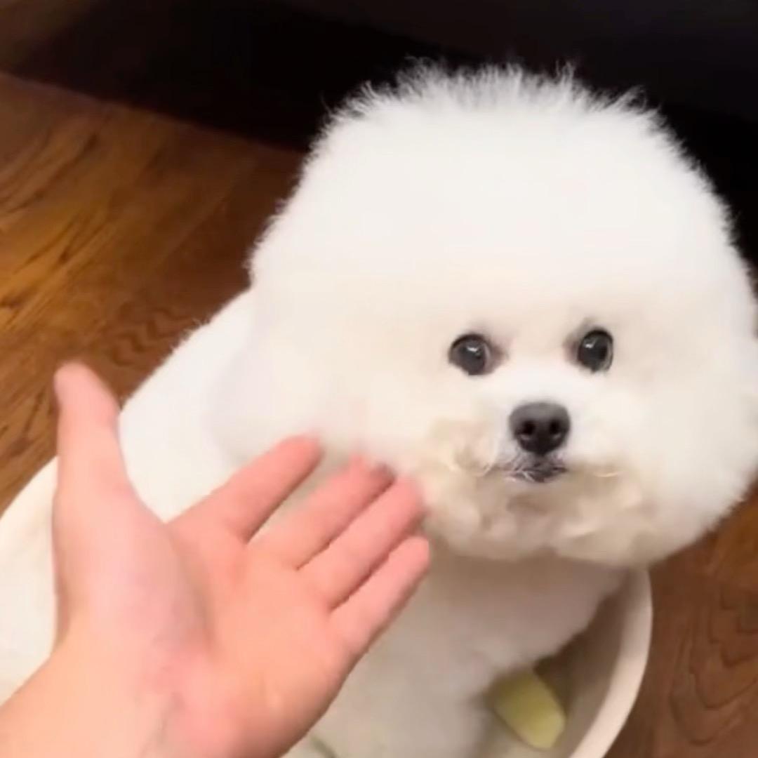 雨语