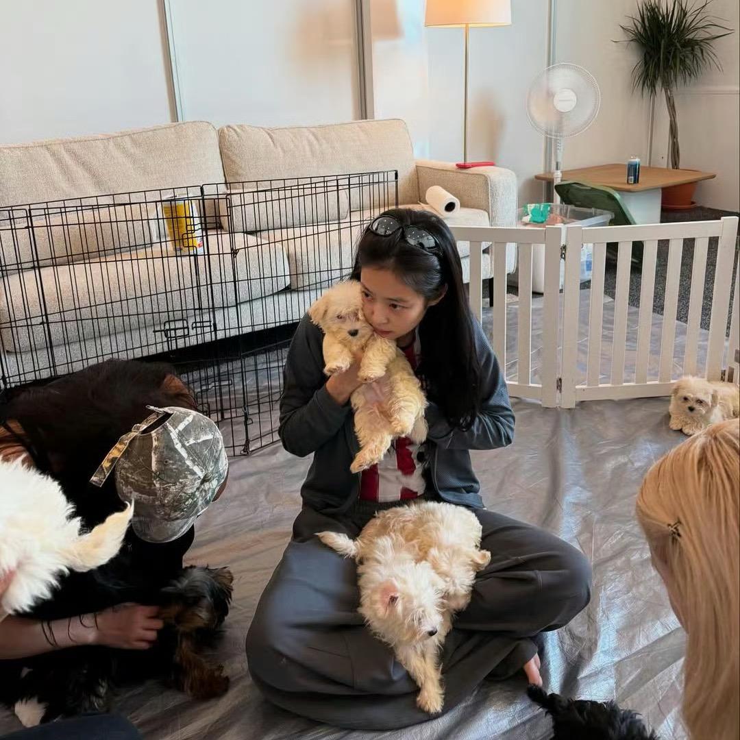 六碗粥想吃板栗