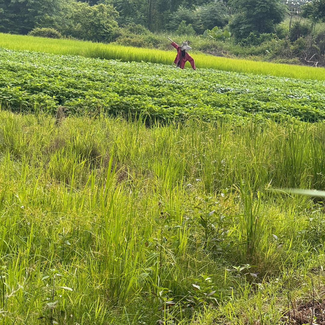 余余精选