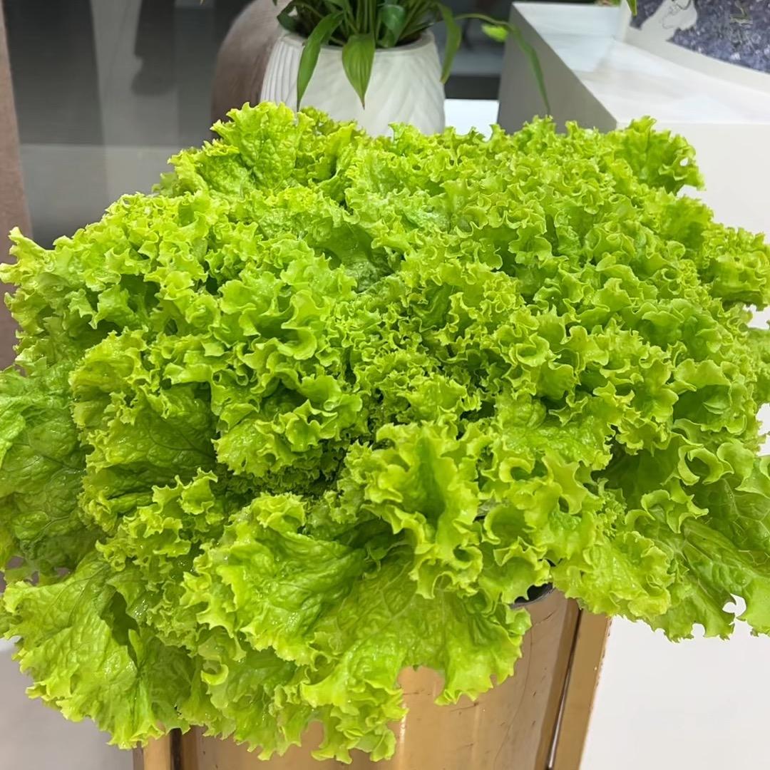 合泰