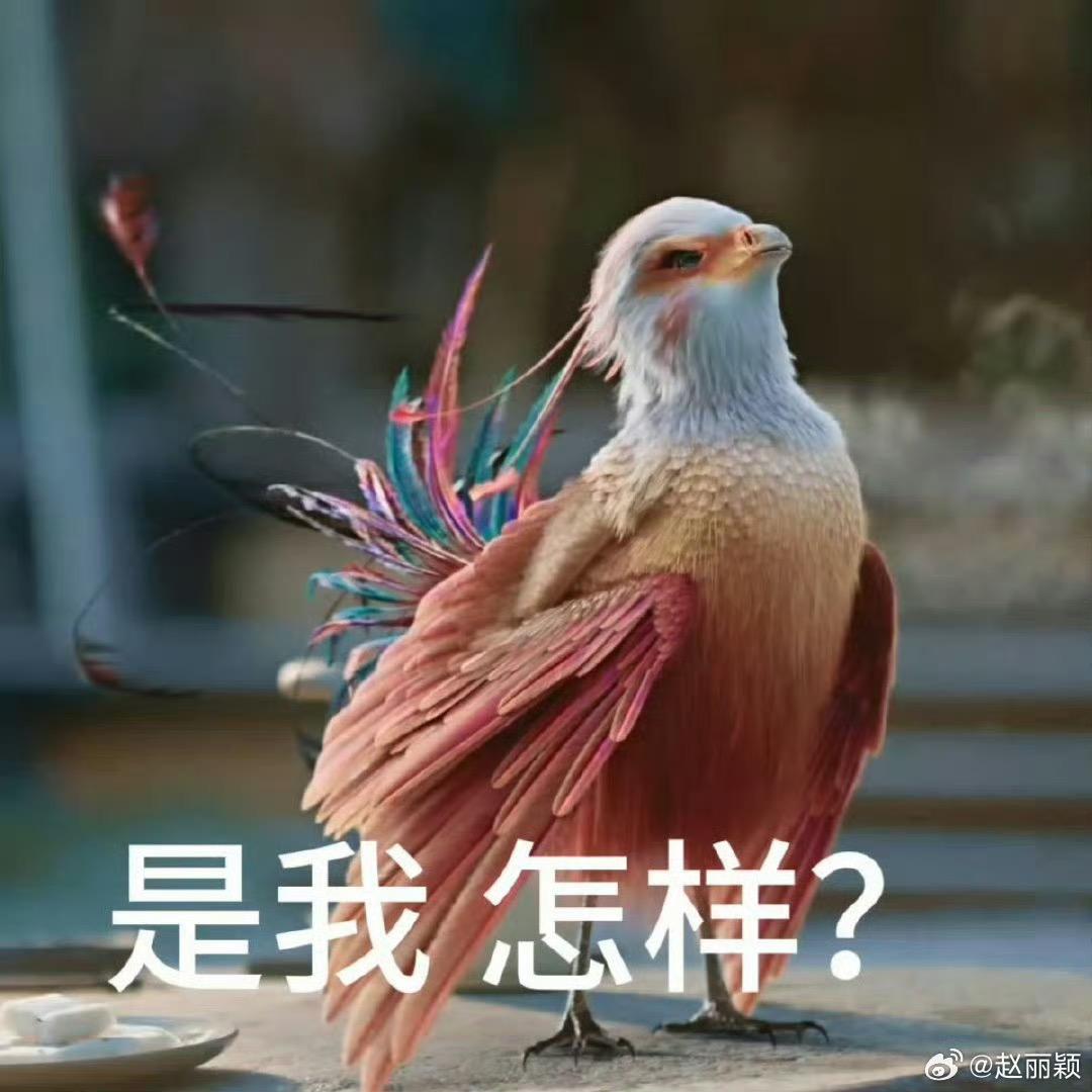 凤与书