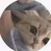 菲菲