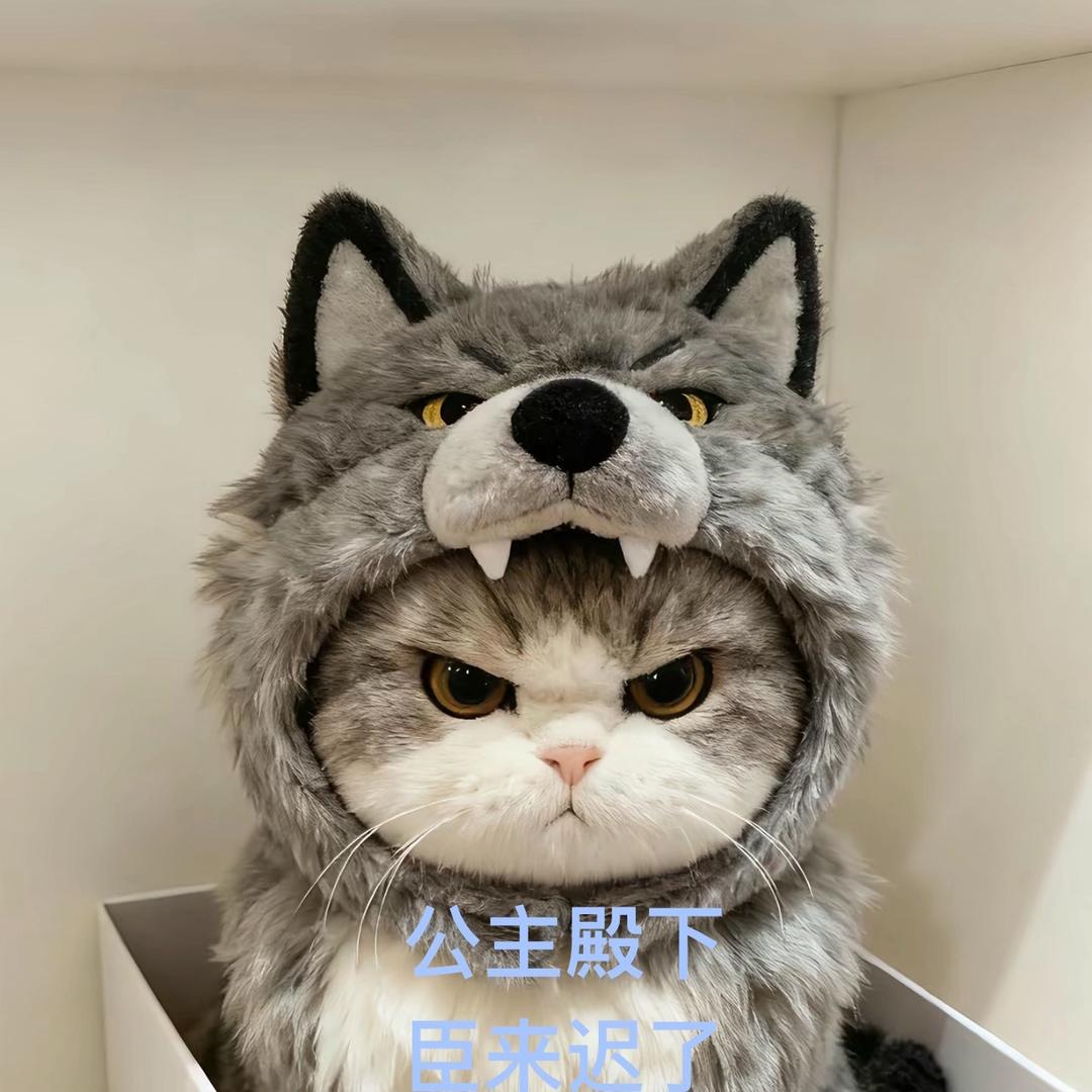 浮生寄星河