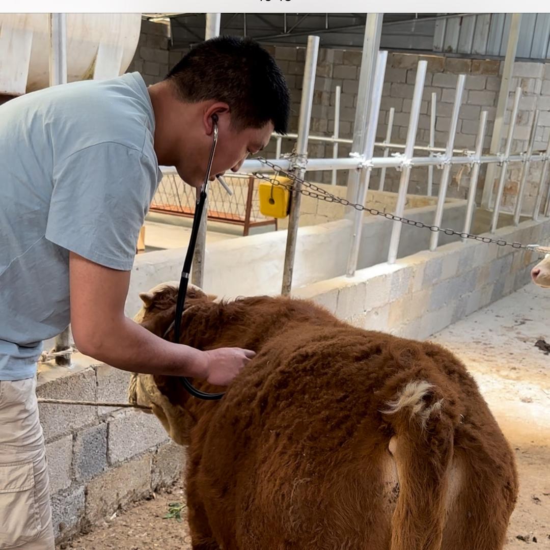 陶永团队 专业抓牛员（阿龙）