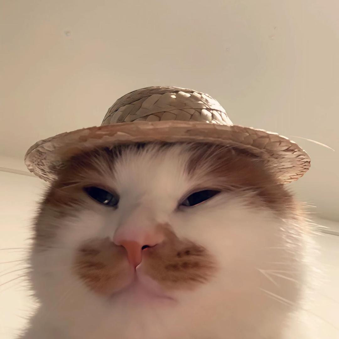 🐈