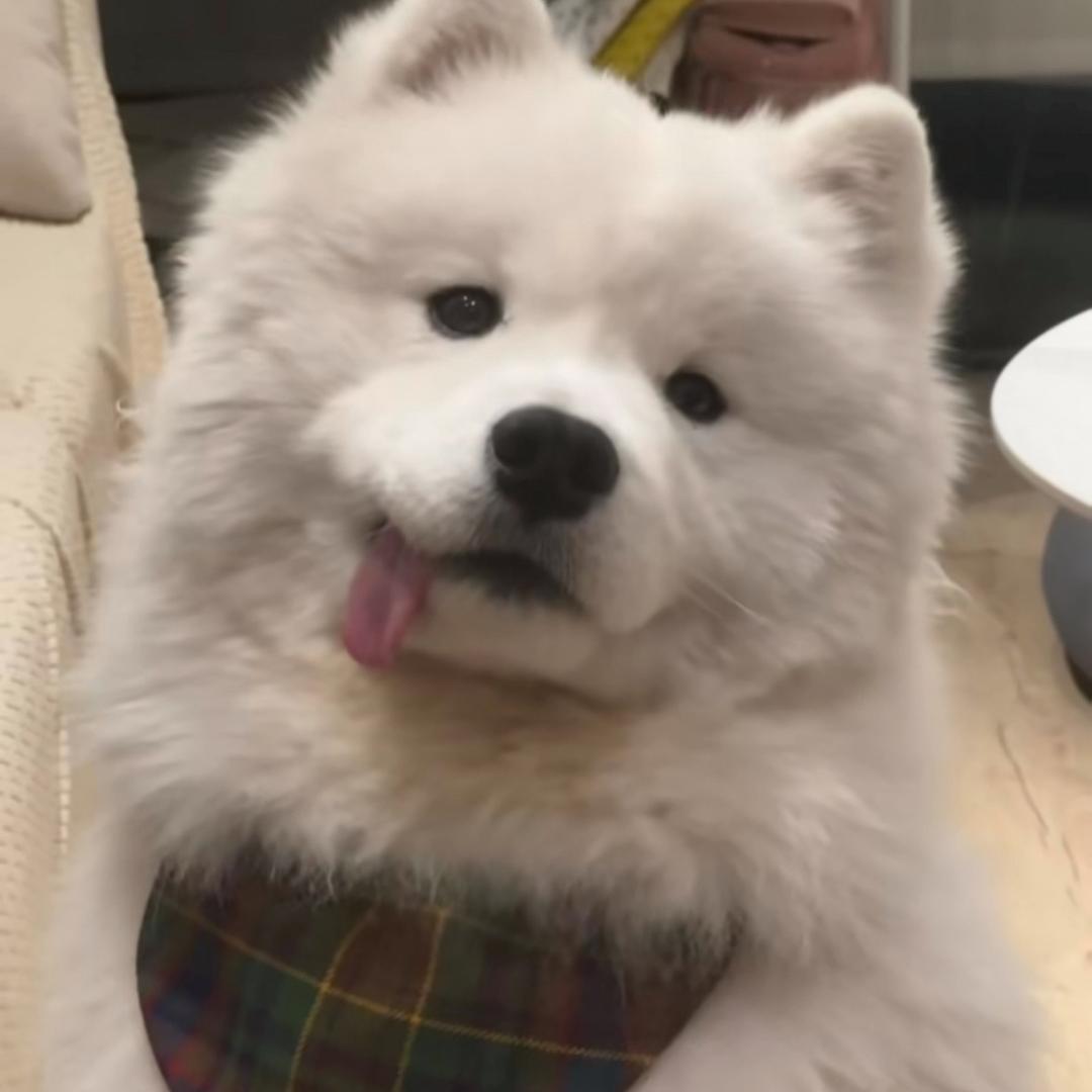 XxX0