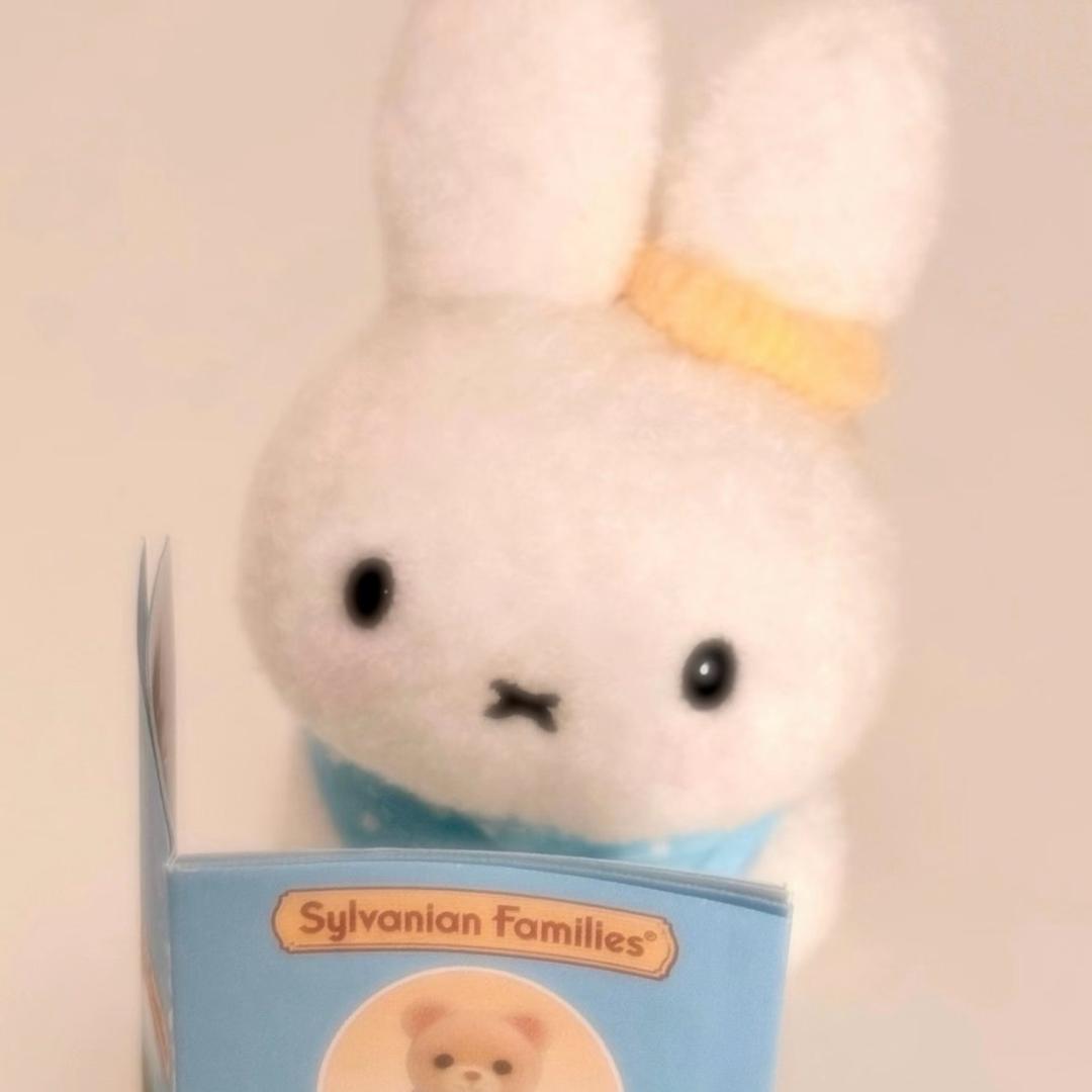 米菲兔很米菲🐰