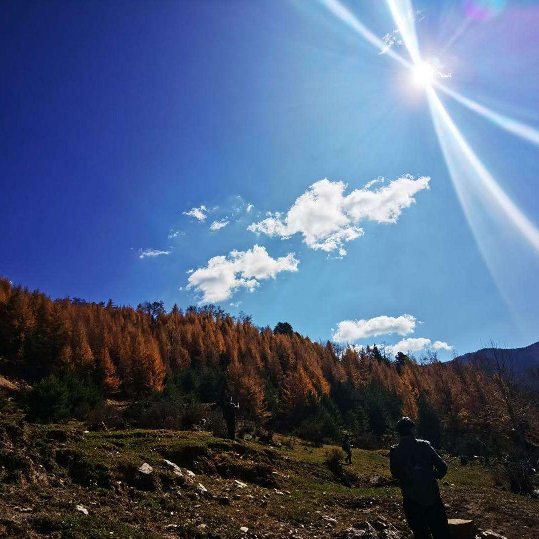 向东四十里  yi   卓