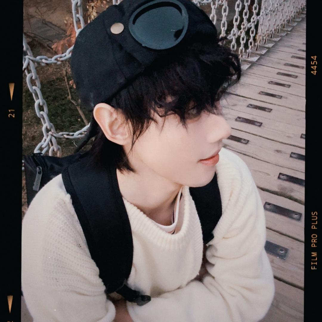 何乐栖