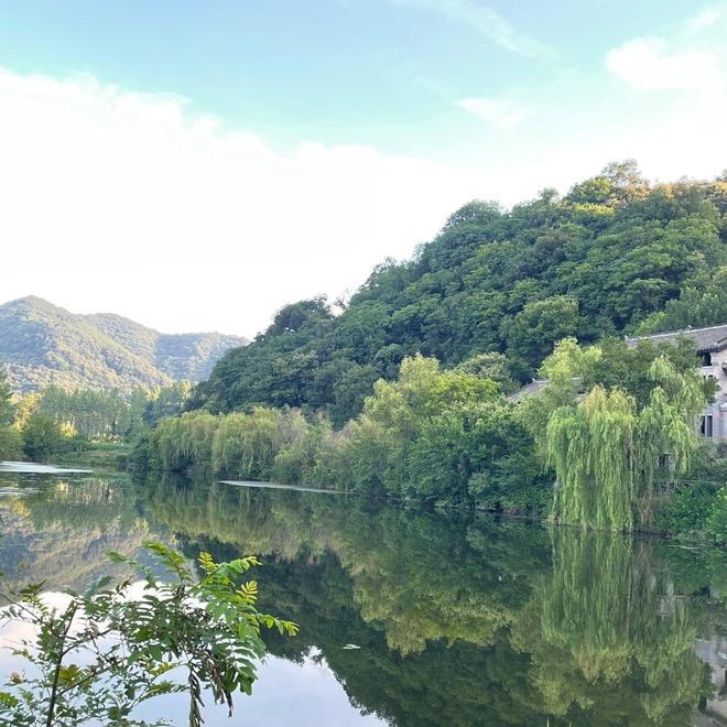 微风拂面