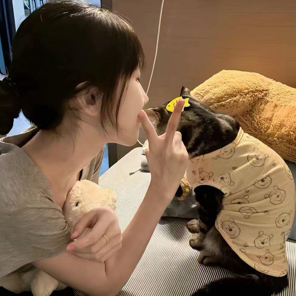 披萨心肠