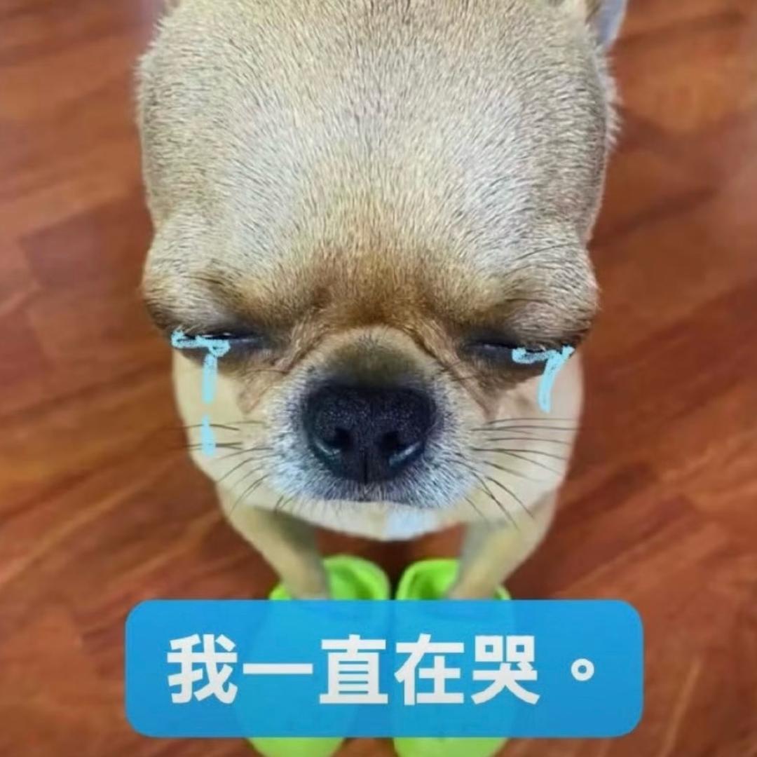 喵喵大王