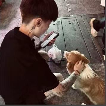 回来了