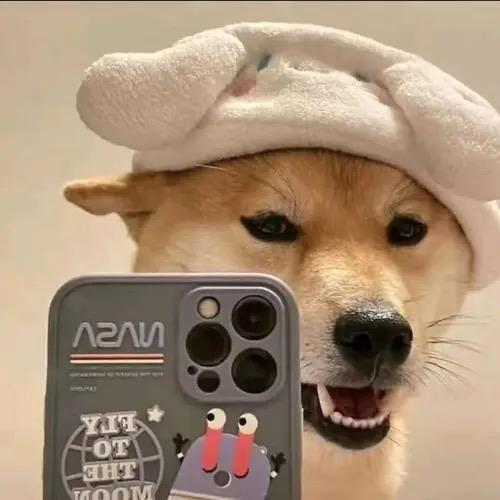 🇨🇳_