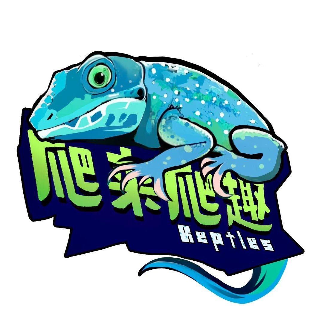 爬来爬趣Reptles