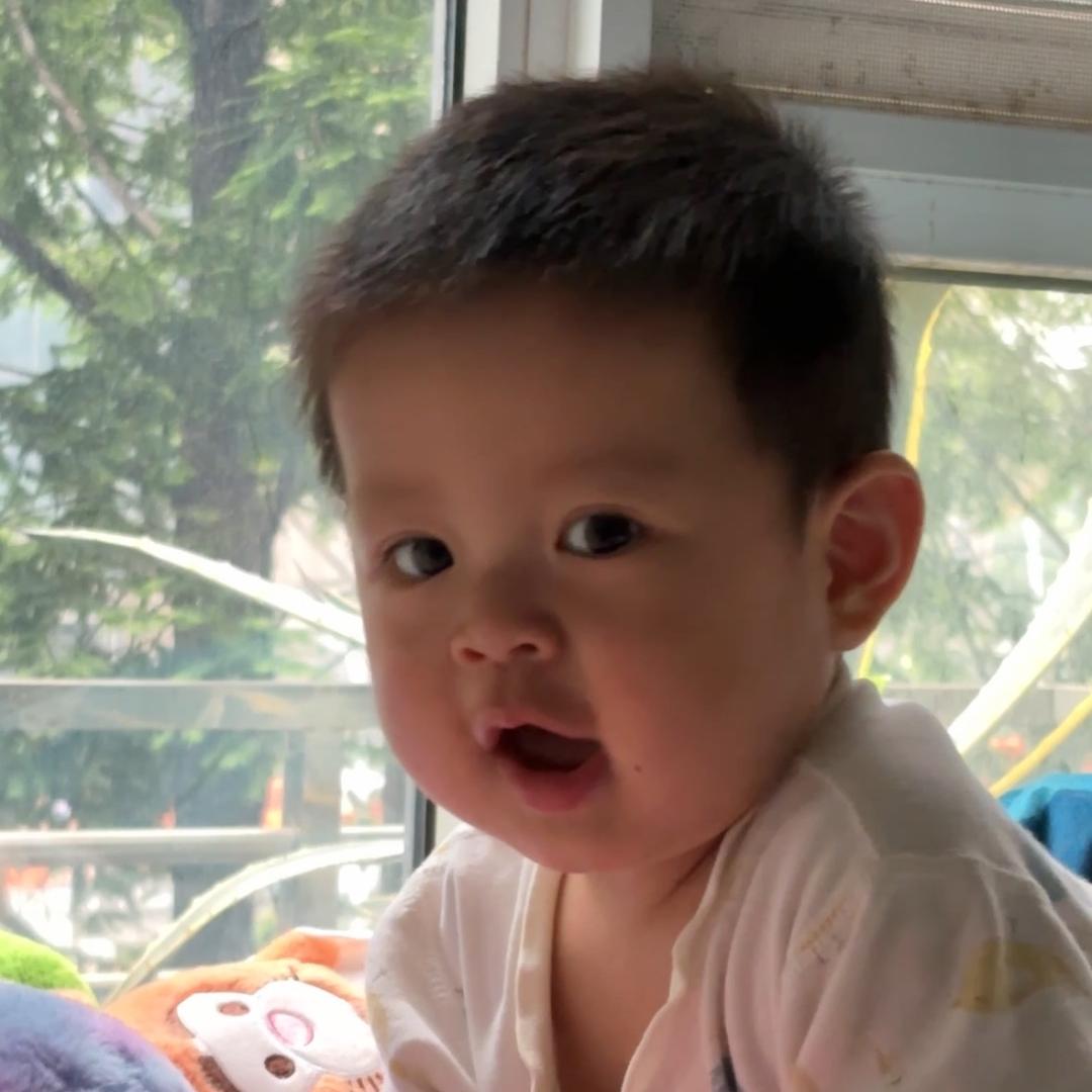 百万张兜兜