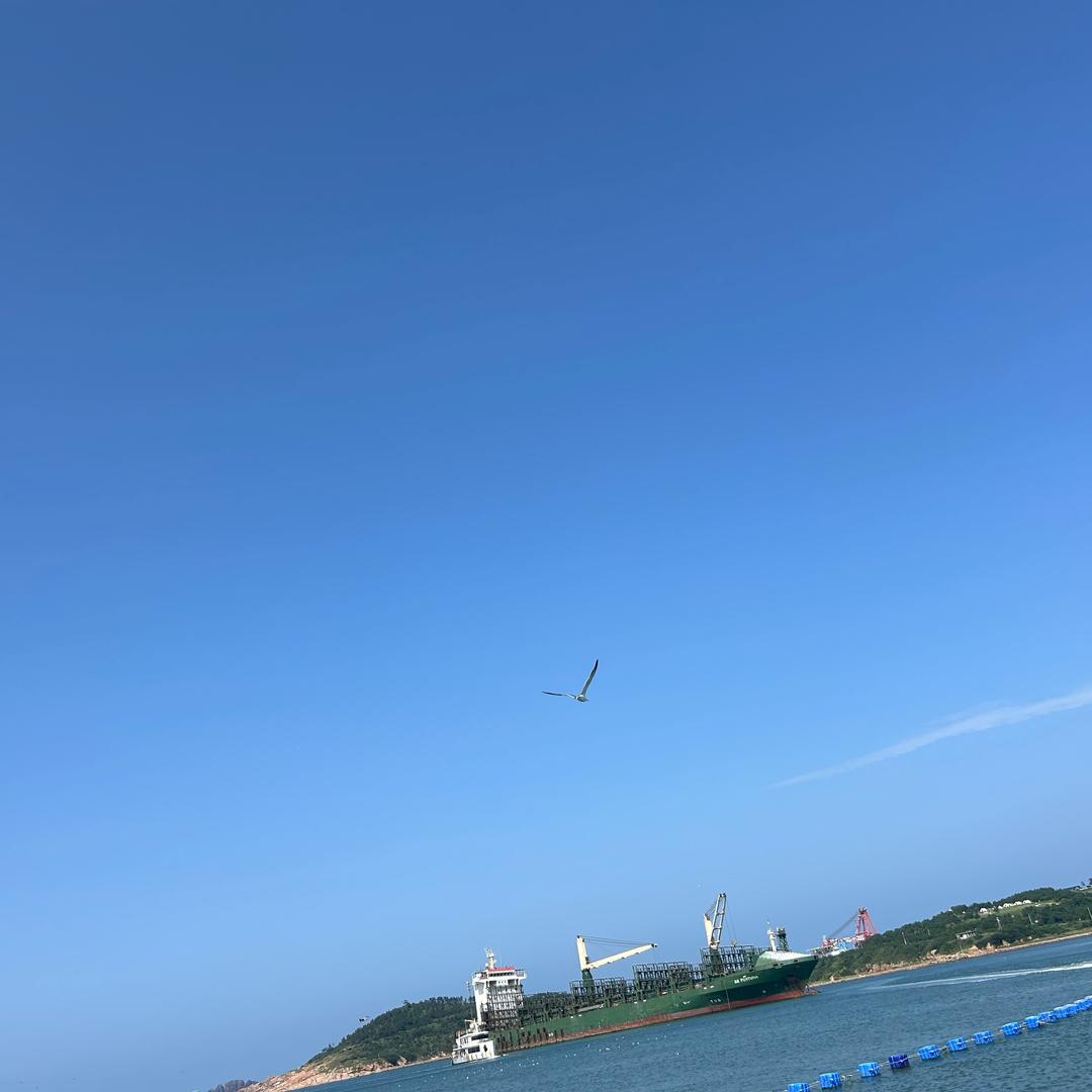 ......