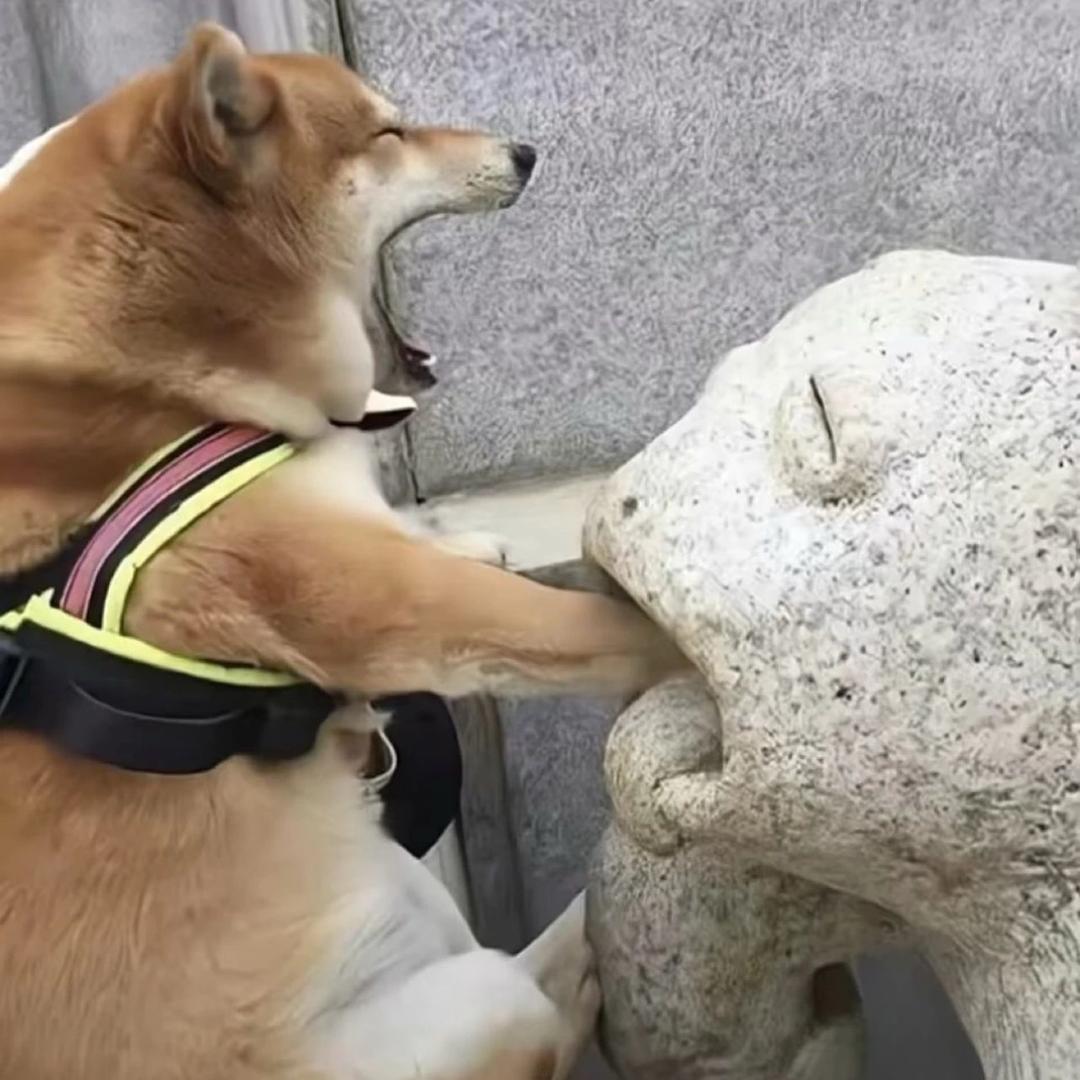 歪比巴卜🤖