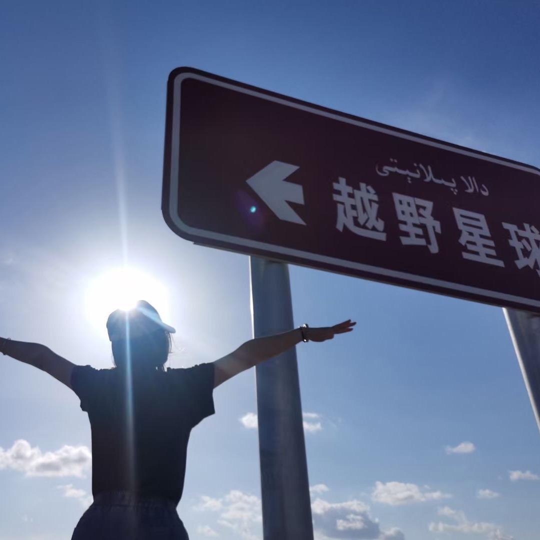 金铲铲-我铲