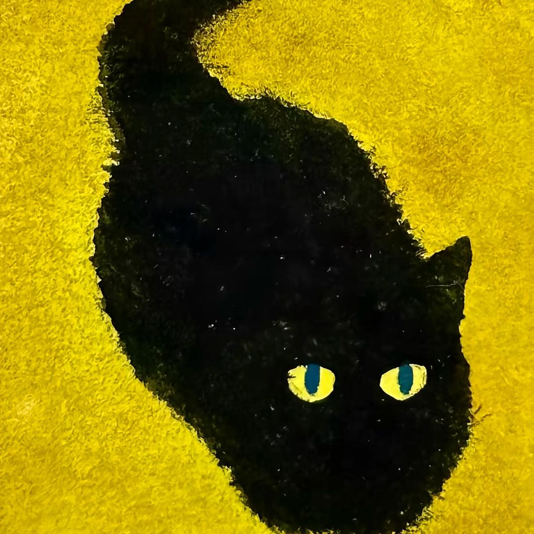 黑猫和吉他拨片