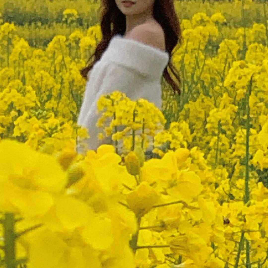 大脸敏
