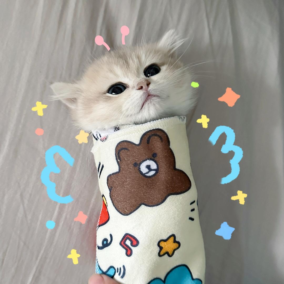 我很活泼