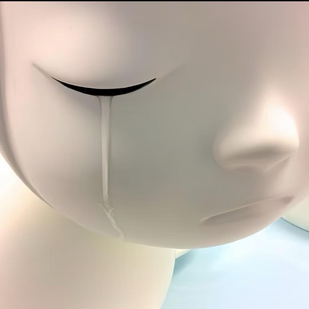 高冷的热带鱼