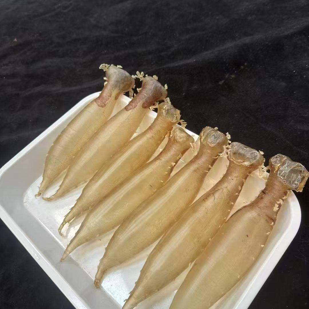 海悦堂