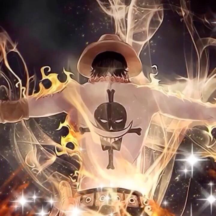 宸宸团购